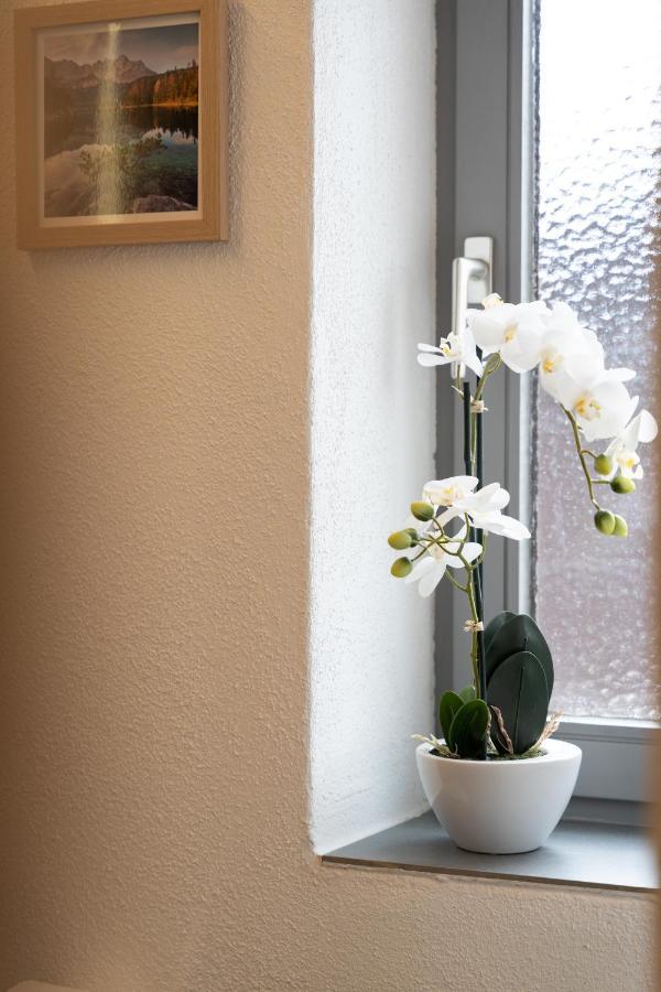 Ferienwohnung Wendelstein كيفرسفلدن المظهر الخارجي الصورة